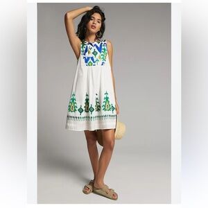 Anthropologie Vivienne embroidered dress XS